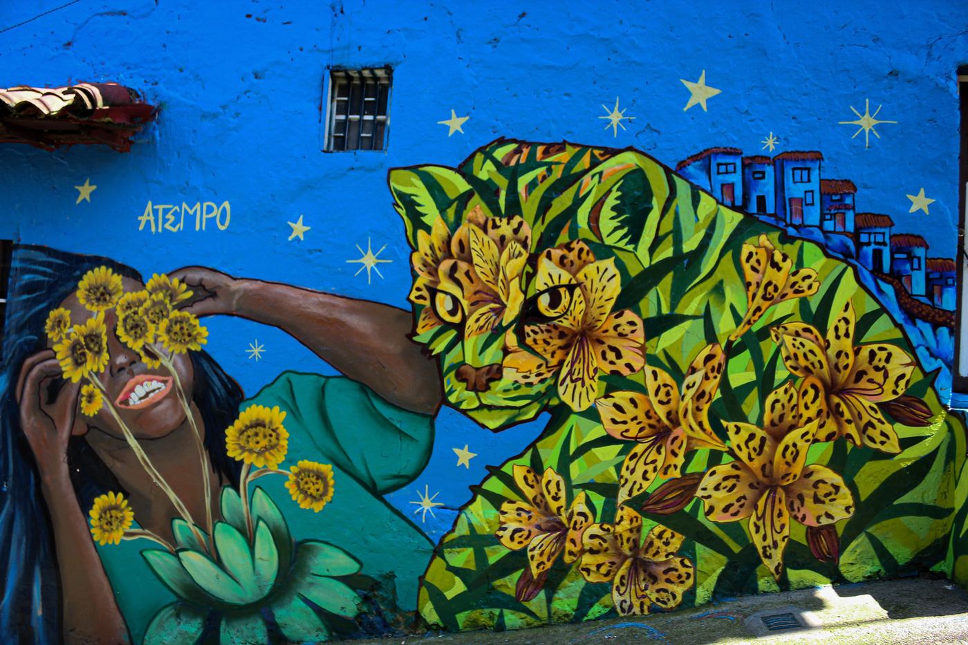 Fotografía 8 — Arte Urbano