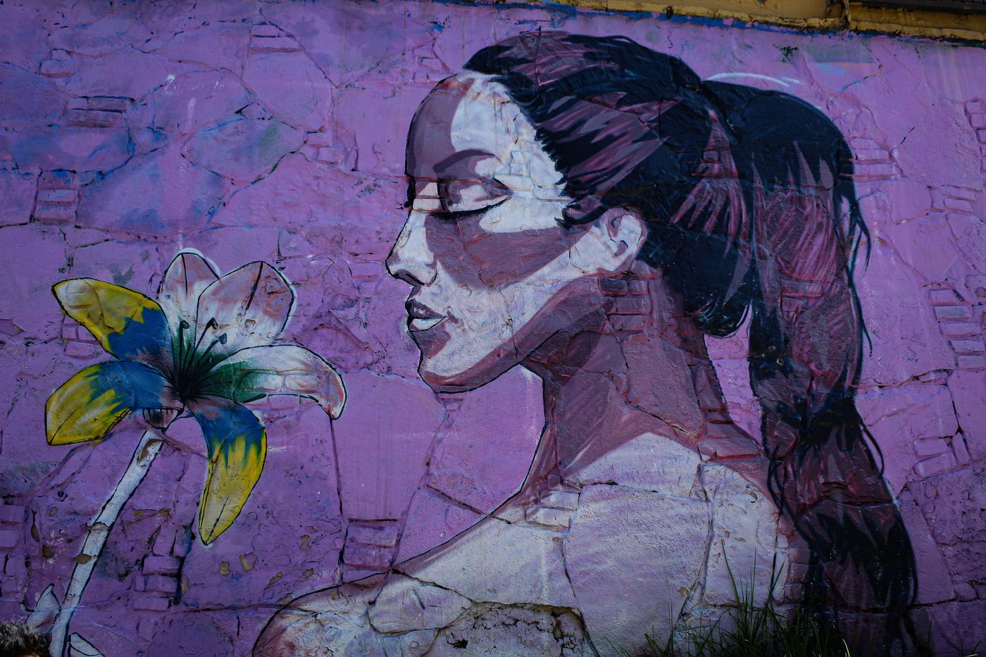 Fotografía 17 — Arte Urbano