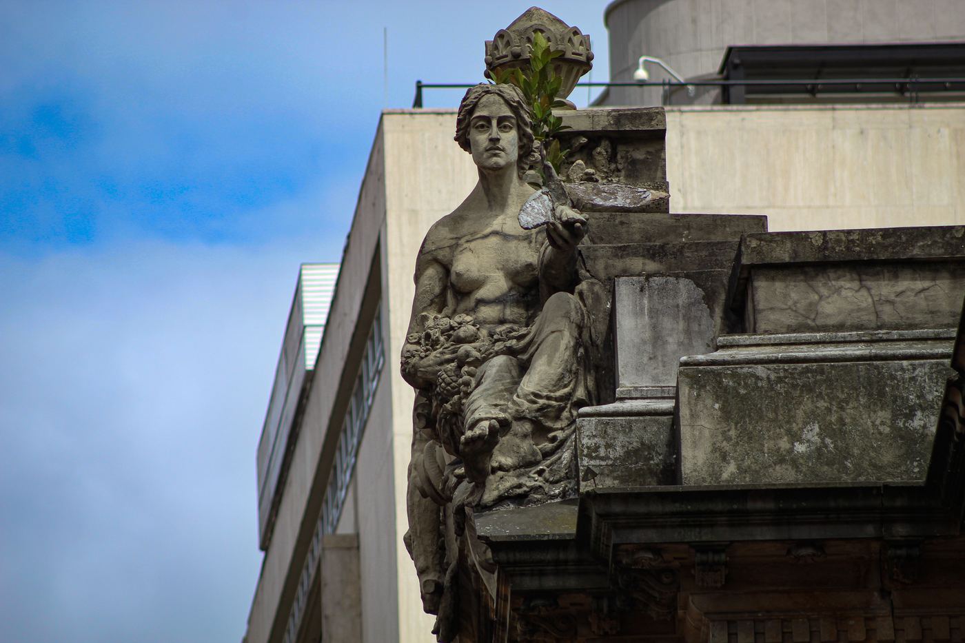 Fotografía 20 — Arte Urbano