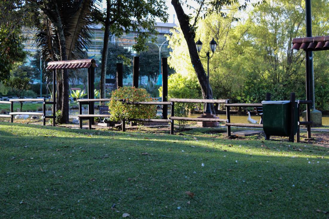 Fotografía 22 — Arte Urbano